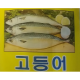 고등어 이미지