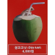 생코코넛 이미지