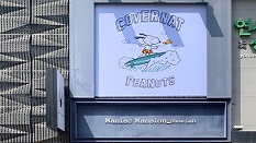 유룩나이스투데이