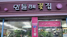 민들레꽃집